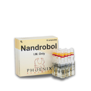 NandroBol