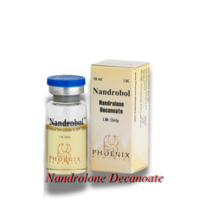 NandroBol